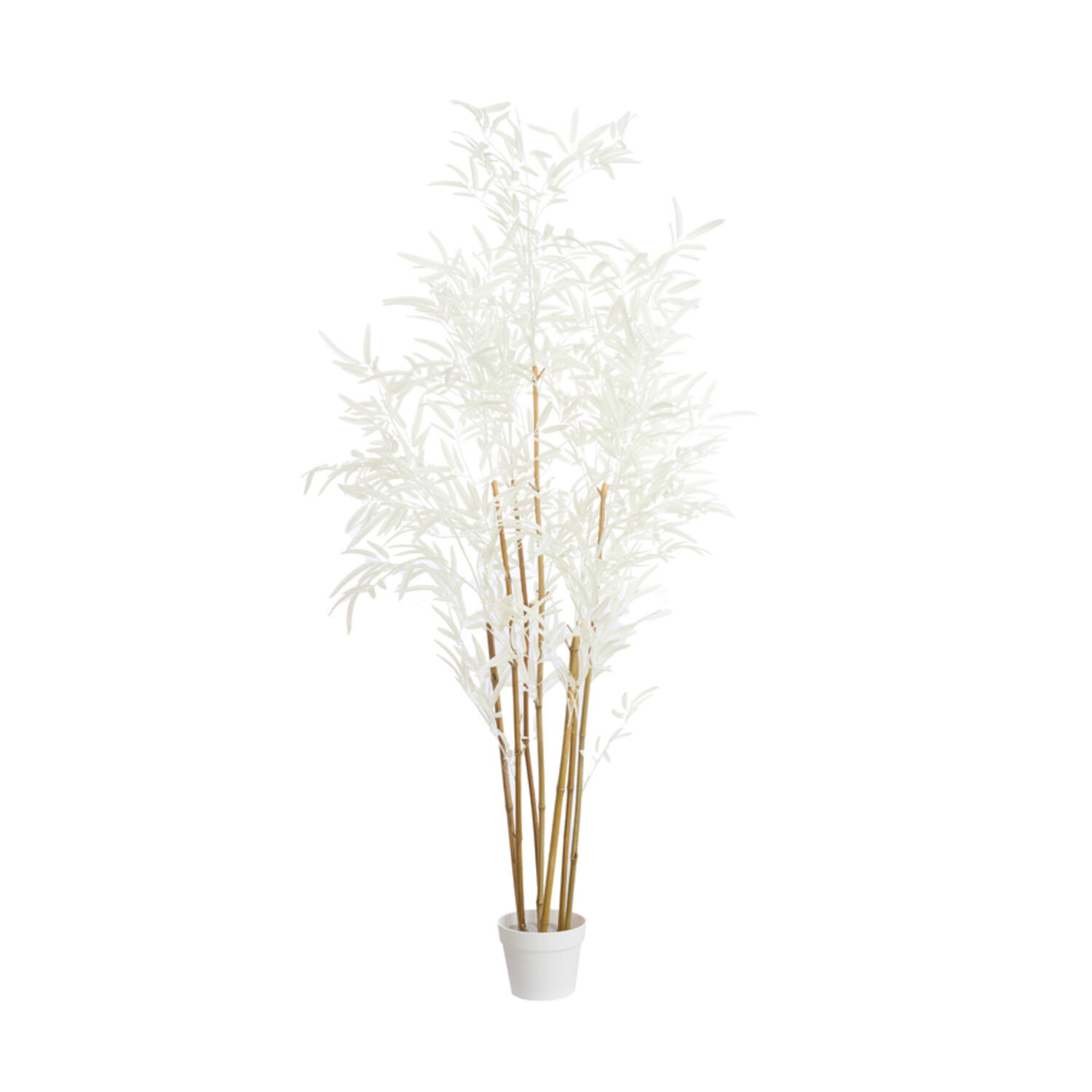 Light&living Ornament in pot 70x60x150 cm BAMBOO naturel+crème