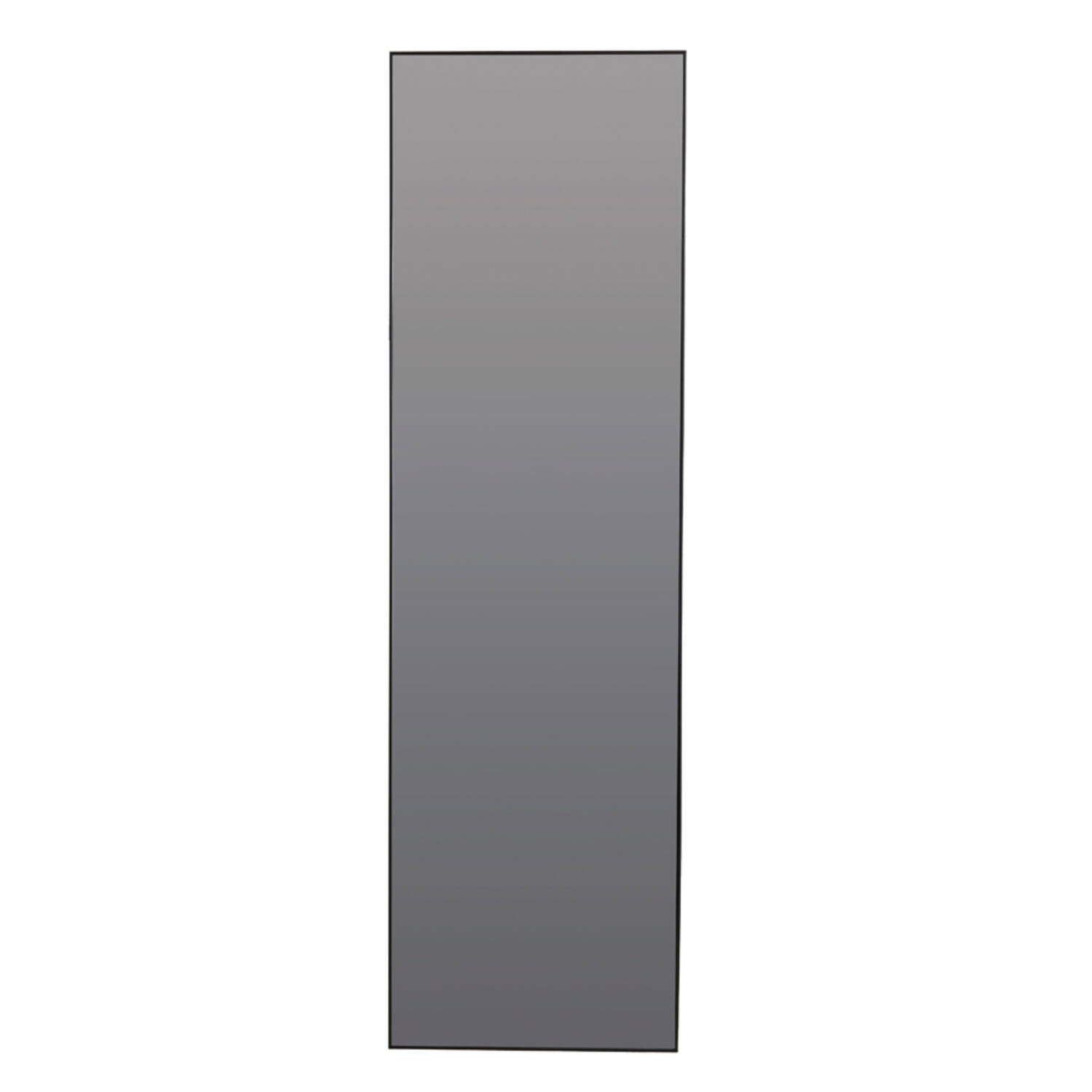 Light&living Spiegel 50x1,5x170 cm ZENETA smoke glas+zwart