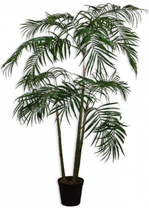 Palmgroen - 210cm Silk-ka kunstbloemen en planten Kunstplant Silk-ka-123821