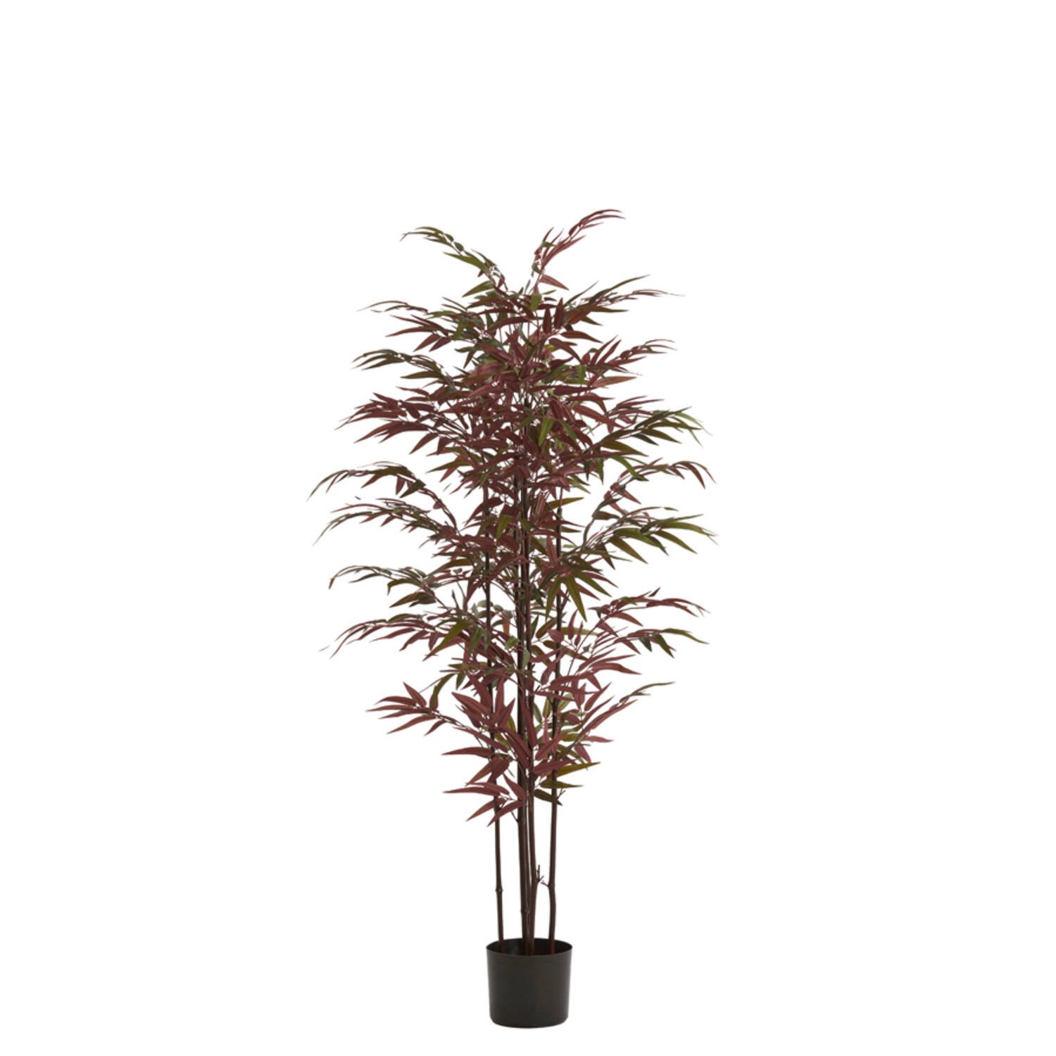 Ornament Bamboo - Naturel+groen/rood Light & Living Beeld 7490778