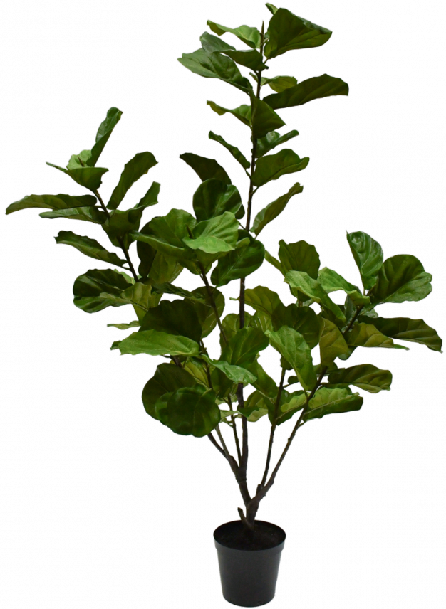 Ficusgroen - 213cm Silk-ka kunstbloemen en planten Kunstplant Silk-ka-154346