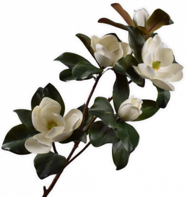 Magnoliatakwit - 121cm Silk-ka kunstbloemen en planten Kunstbloem Silk-ka-155763