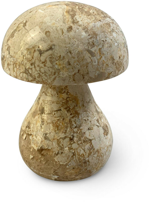 Feelings Wonen meubelen Mushroom beeld 9x9x11(h) Naturel Woonaccessoire