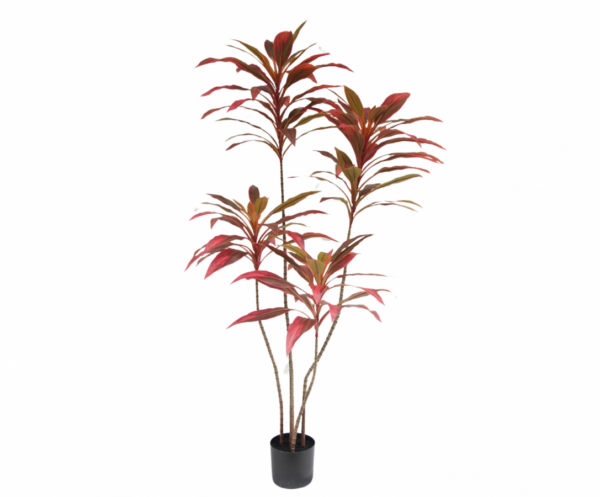 Cordylineplantbruin - 150cm Silk-ka kunstbloemen en planten Kunstplant Silk-ka-157601