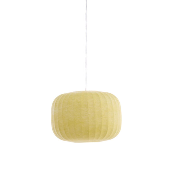 Hanglamp Lexa - Licht Groen Light & Living Hanglamp 2958276