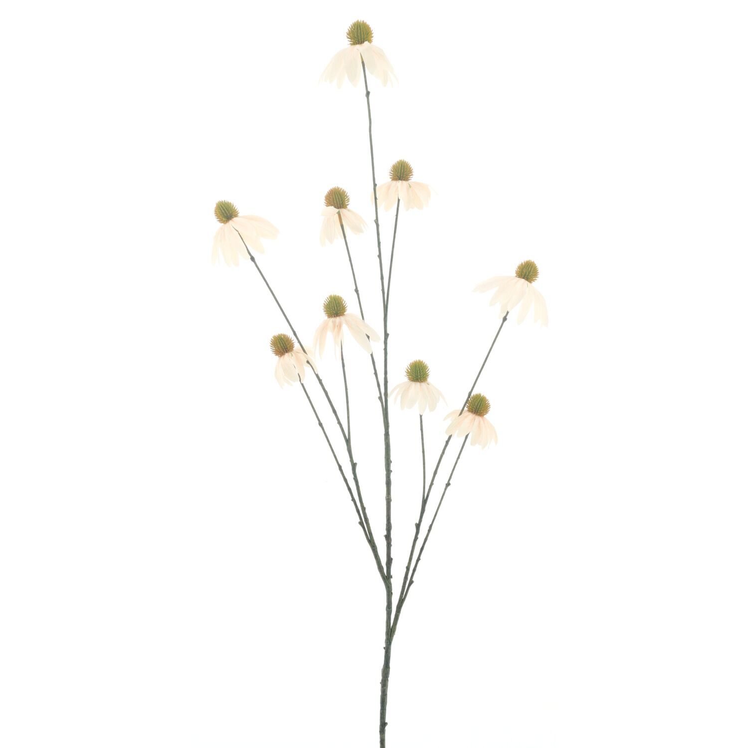 Pronto Wonen Kunstbloem Varenzo echinacea beige Beige|Wit Woonaccessoire